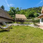 Klementina's - Happy Nemesvita