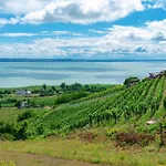 Klementina's - Happy