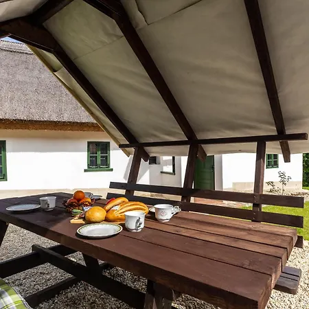 Klementina's - Happy