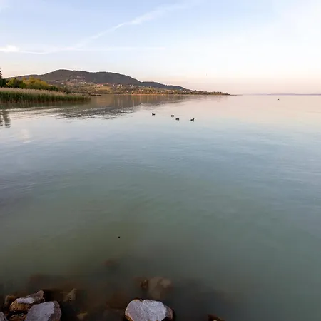 Klementina's - Happy *