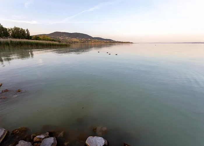 Klementina's - Happy *